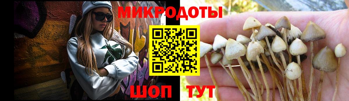 Учалы  Галлюциногенные грибы Magic Shrooms  Вход с VPN  Псилоцибиновые грибы Psilocybine cubensis 